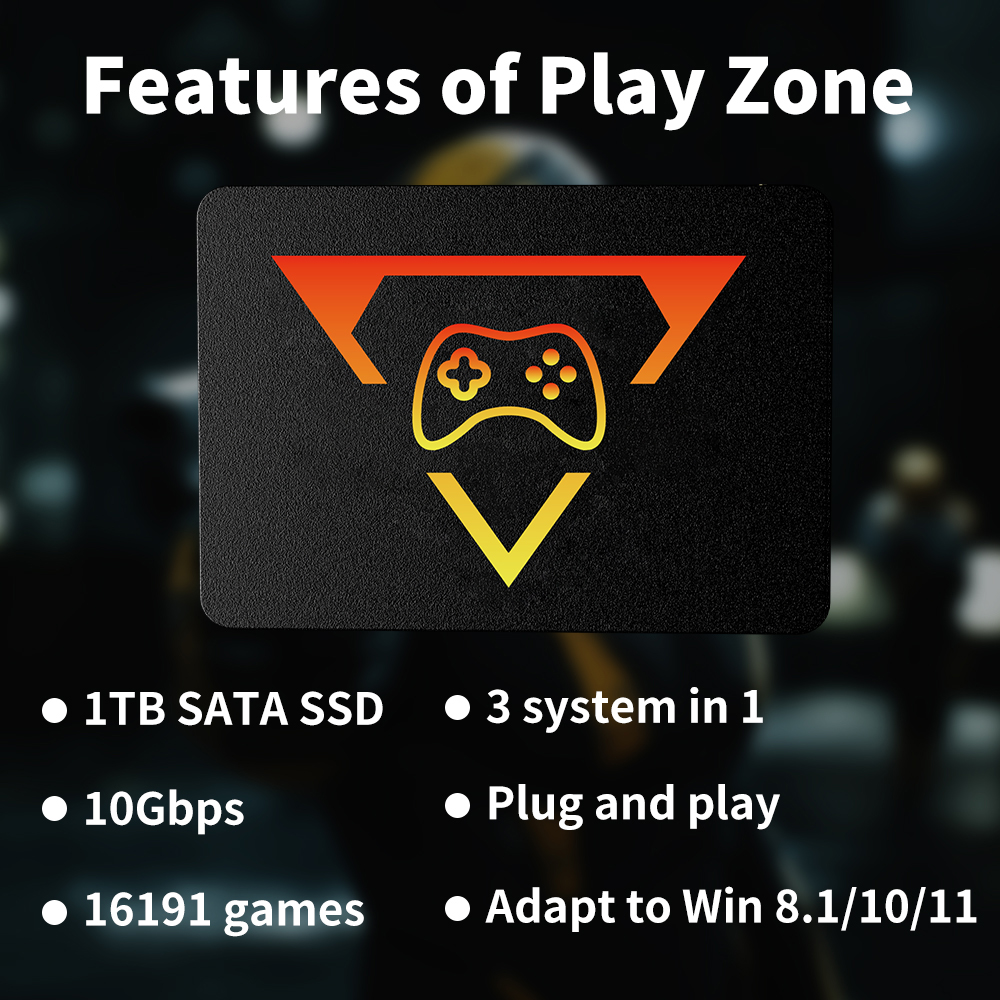 Playzone 1T Gaming SSD With 16 - Pc Gaming Aaa review and price